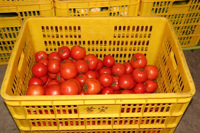 东莞如何配送食材，东莞配送食材
